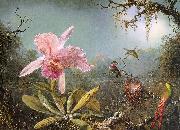 Cattleya Orchid Three Brazilian Hummingbirds Martin Johnson Heade